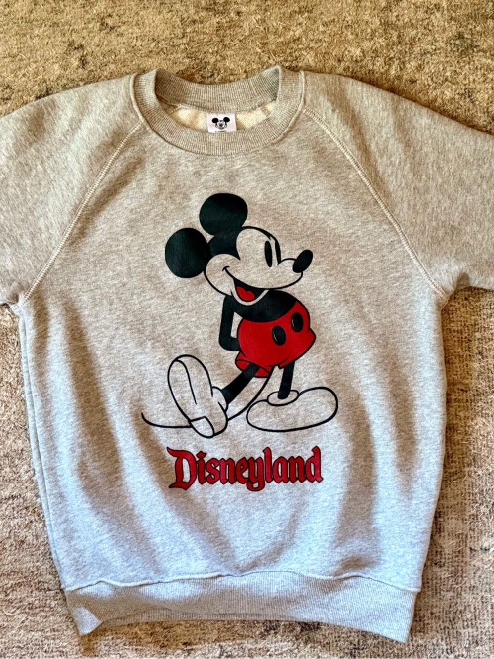 Official Disney Mickey Mouse Disneyland Sweatshirt XS Gray